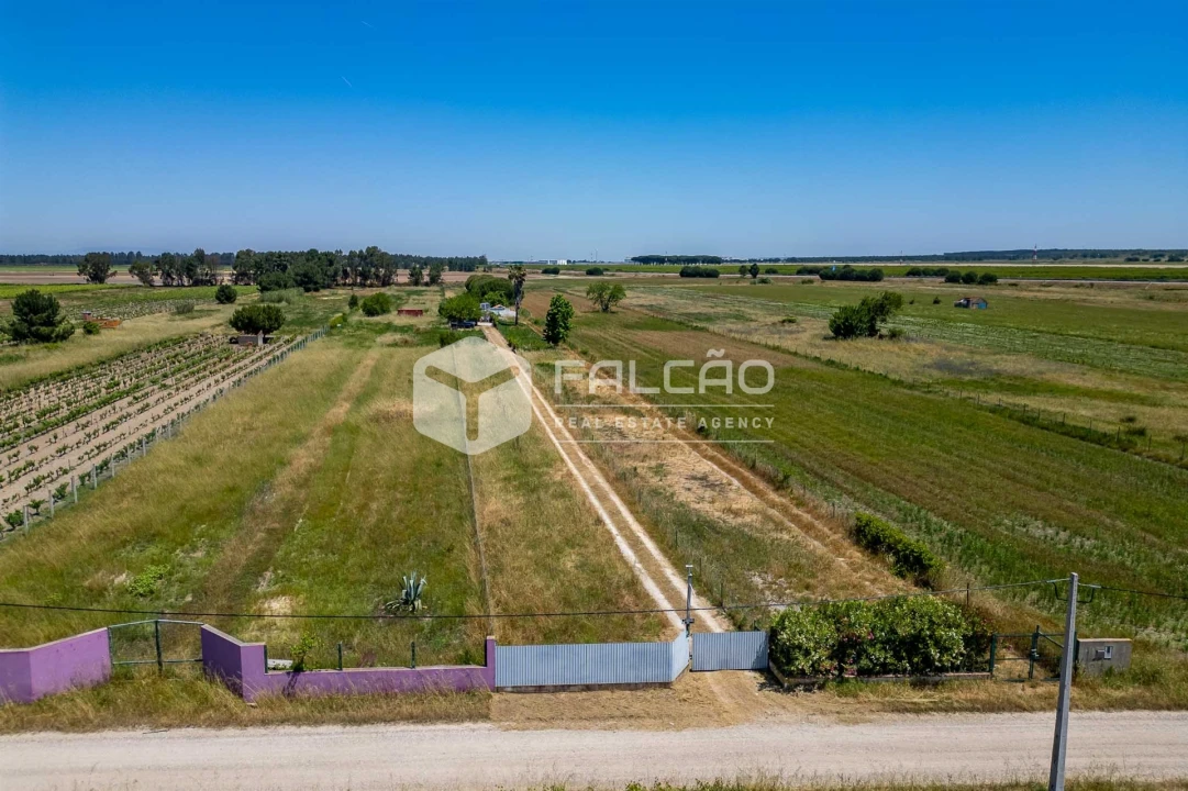 Terreno Agricola ou Rústico para Venda em Almeirim Foto 10