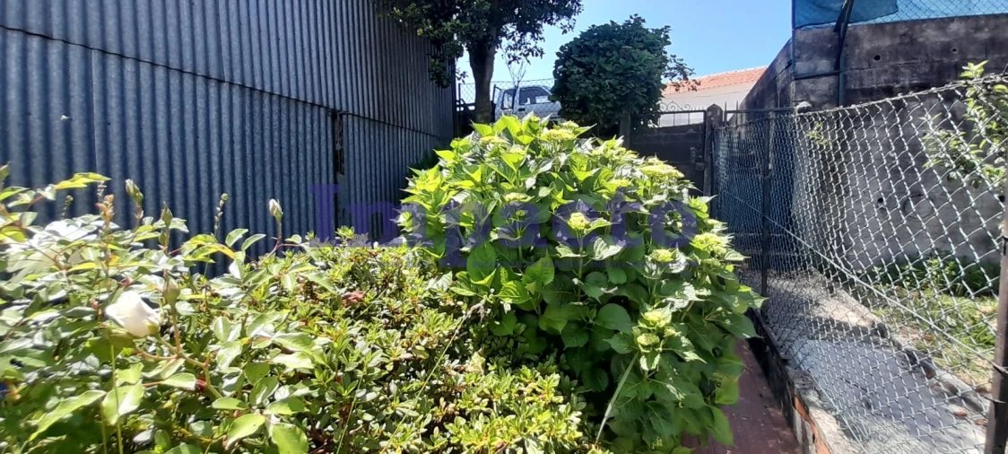 Moradia T2 para Venda em São João da Madeira Foto 19