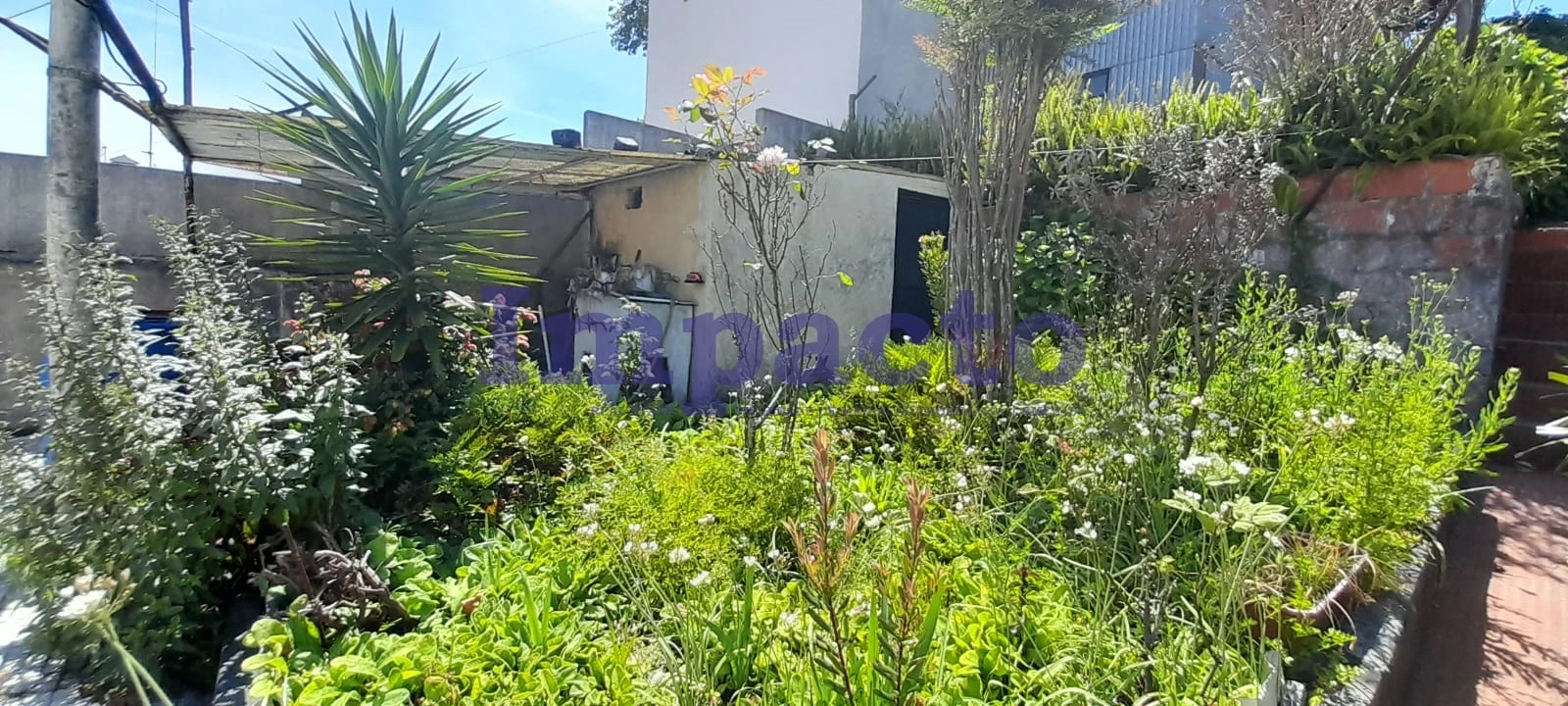 Moradia T2 para Venda em São João da Madeira Foto 23