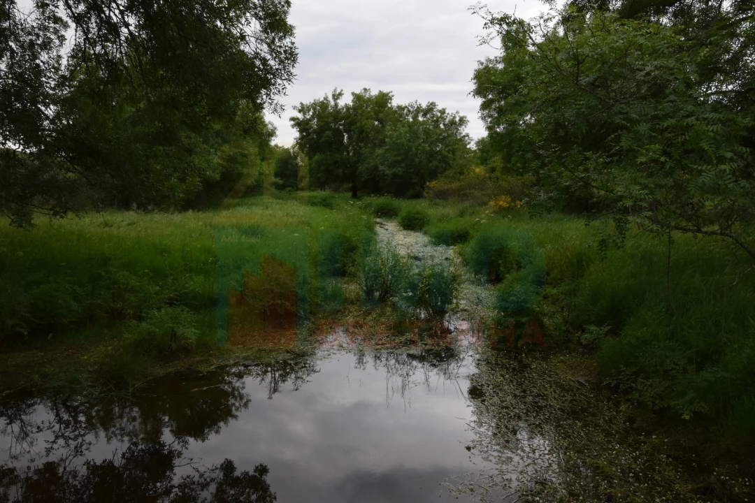 Quinta T0 para Venda em Oledo Foto 37