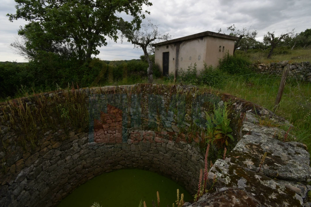 Quinta T0 para Venda em Oledo Foto 30