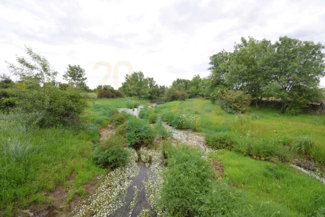 Quinta T0 para Venda em Oledo Foto 40