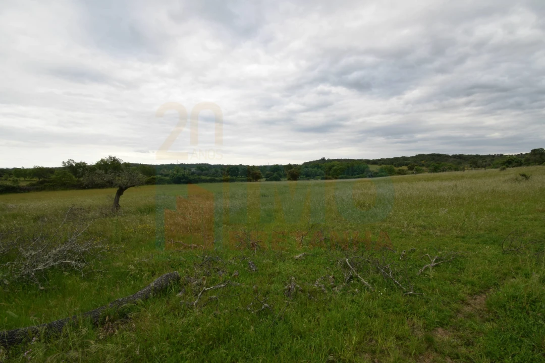 Quinta T0 para Venda em Oledo Foto 24