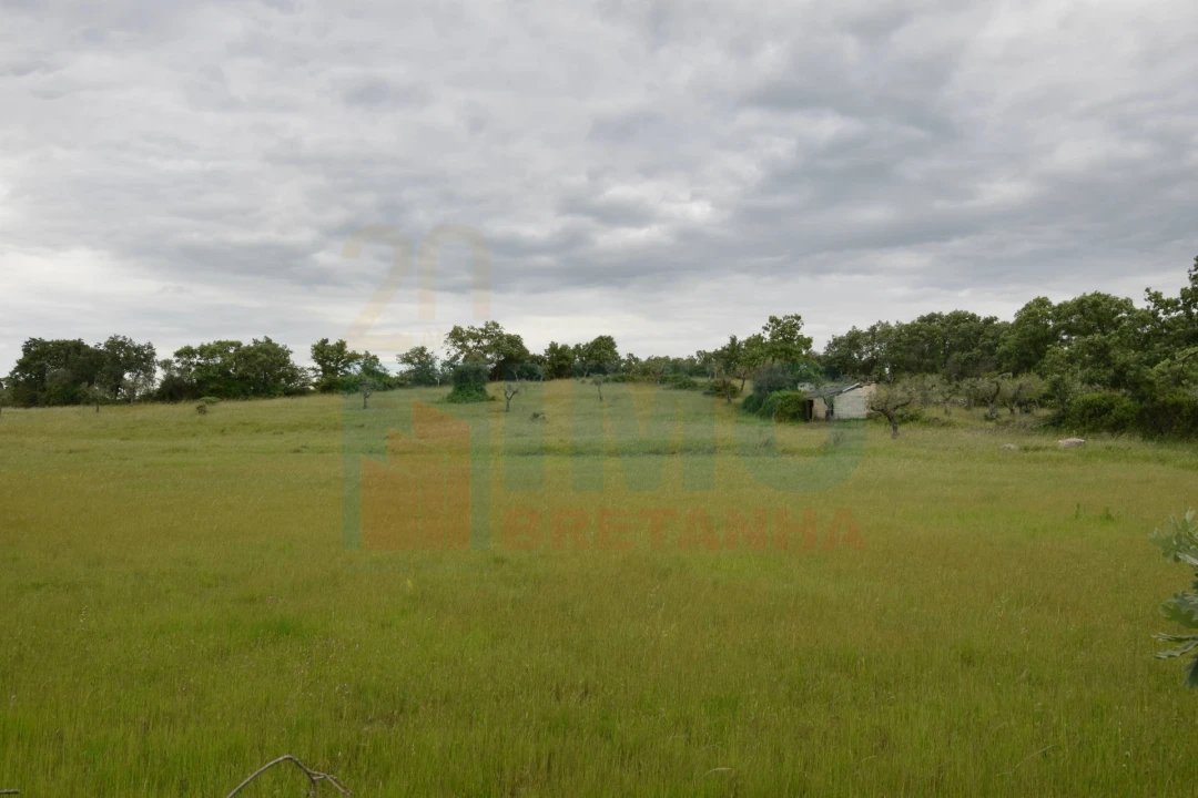 Quinta T0 para Venda em Oledo Foto 16