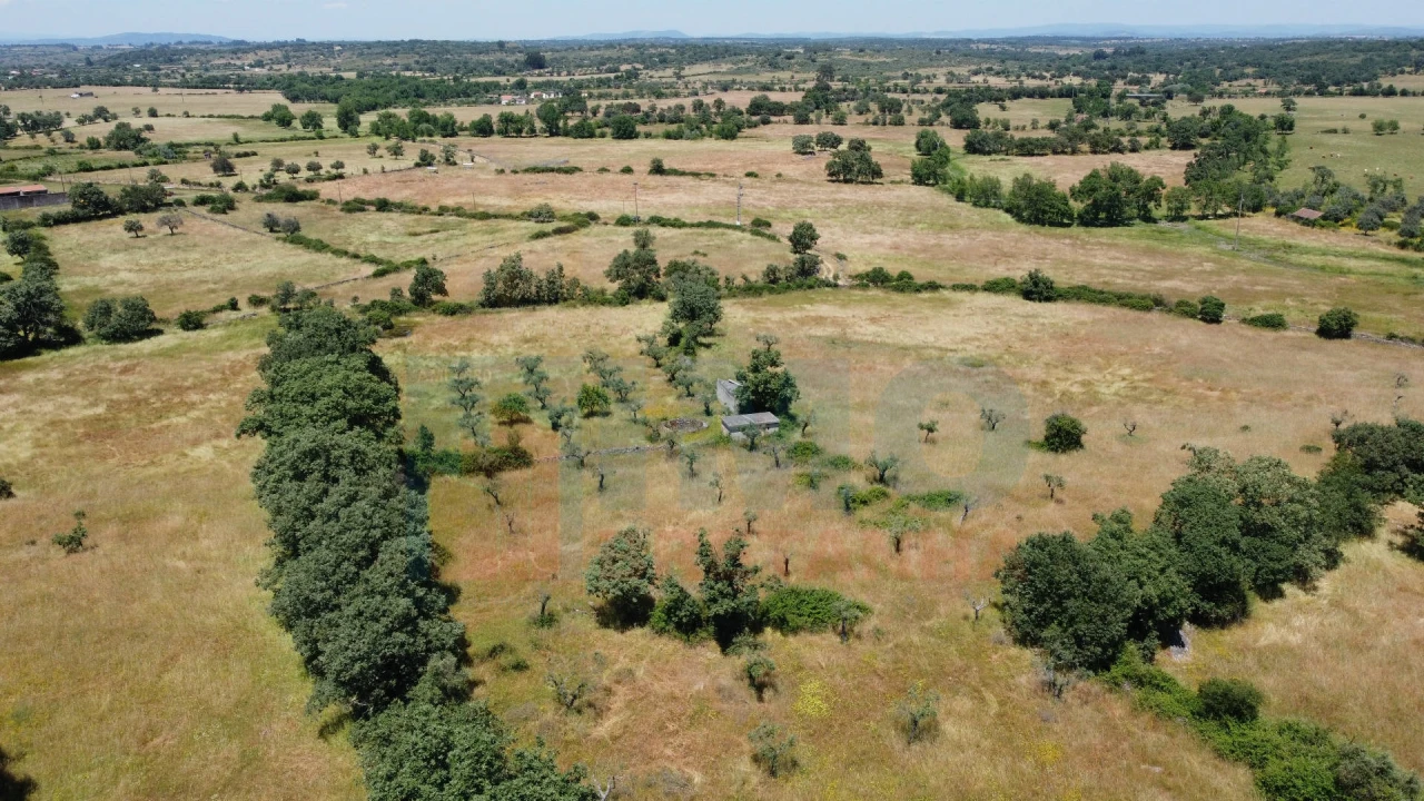 Quinta T0 para Venda em Oledo Foto 3