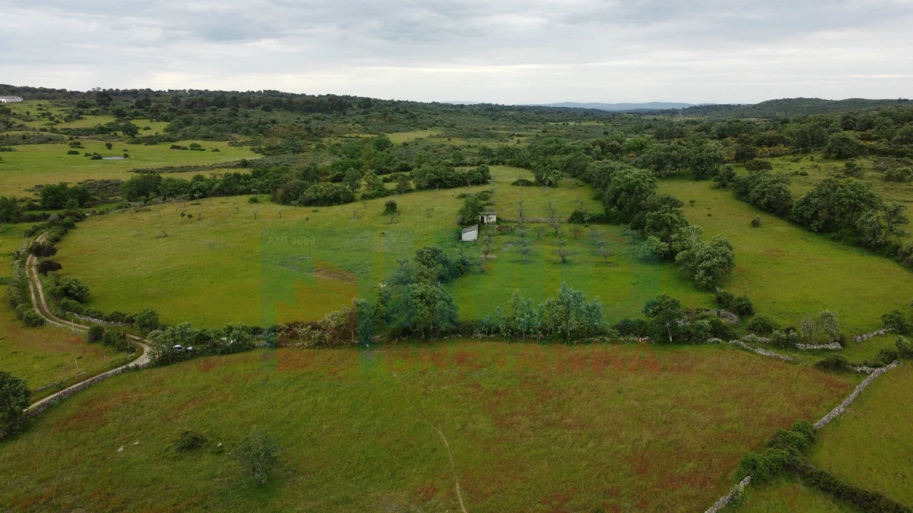 Quinta T0 para Venda em Oledo Foto 9