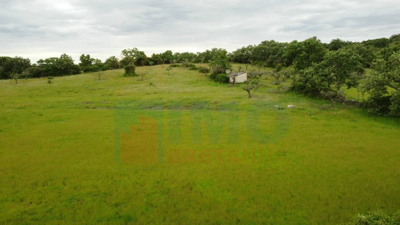 Quinta T0 para Venda em Oledo Foto 12