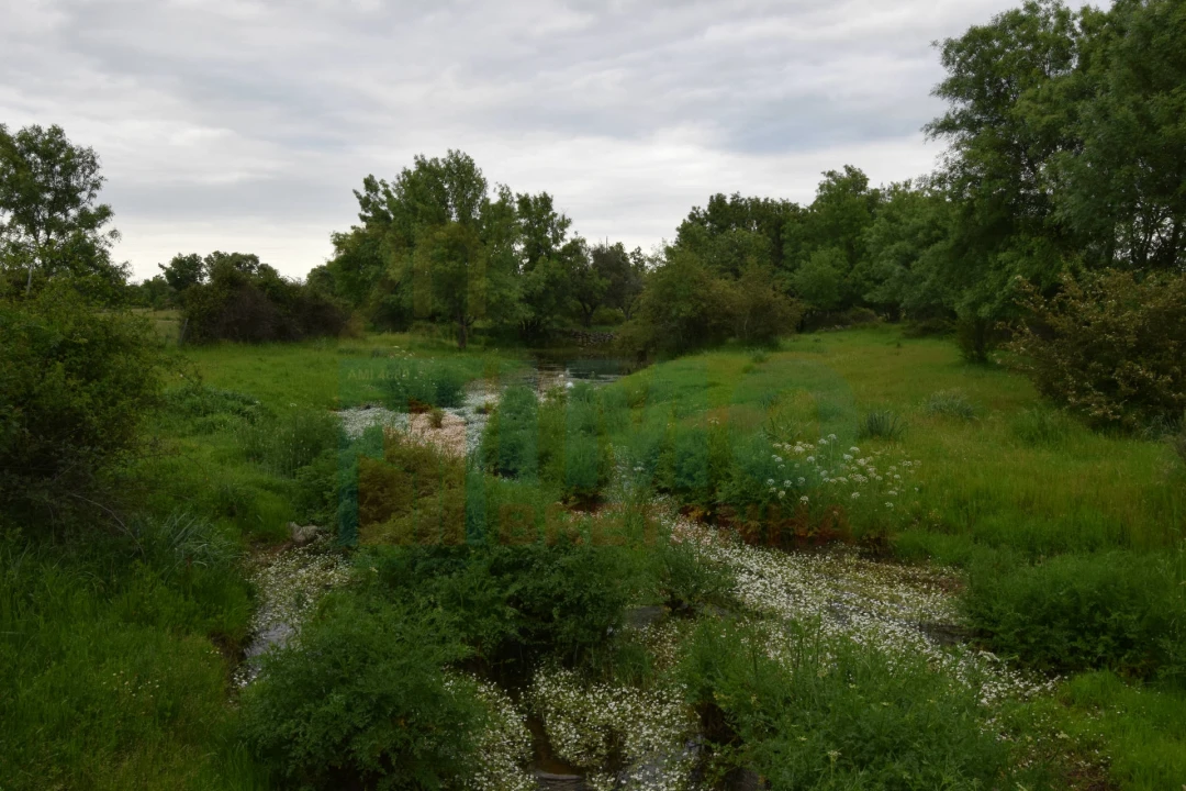 Quinta T0 para Venda em Oledo Foto 36