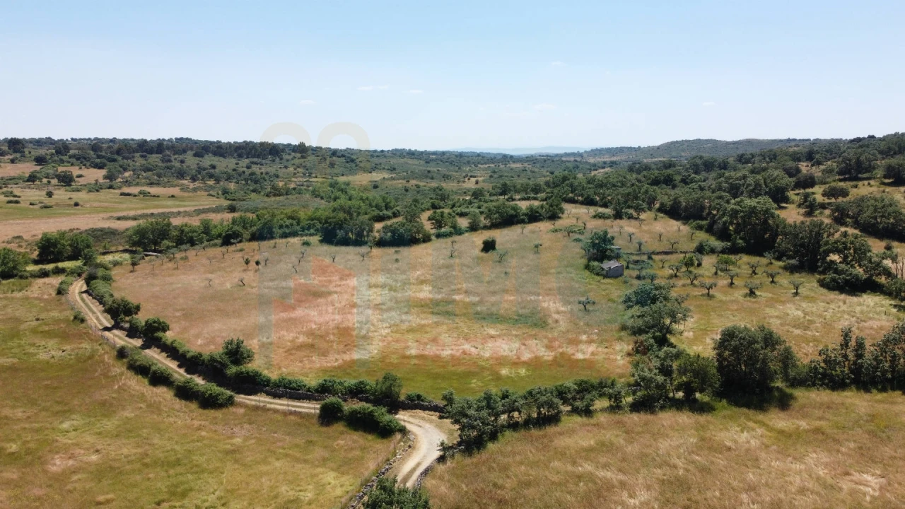 Quinta T0 para Venda em Oledo Foto 1