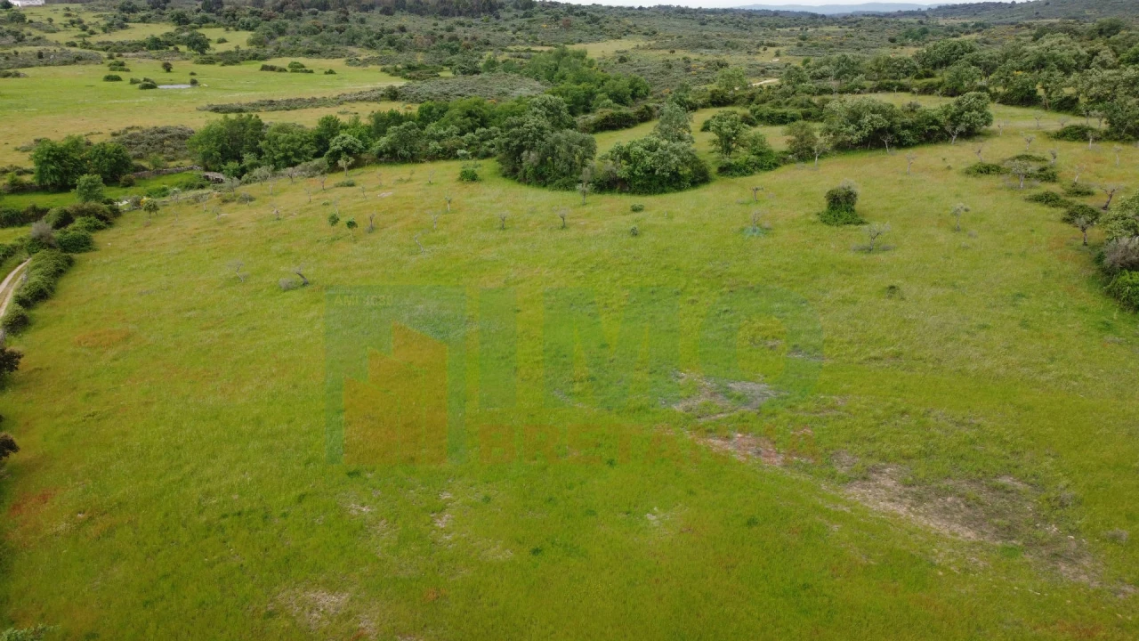 Quinta T0 para Venda em Oledo Foto 7