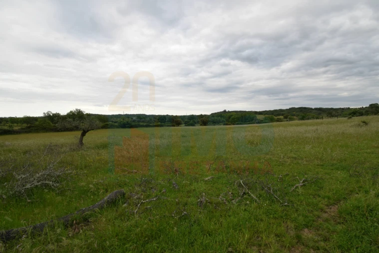 Quinta T0 para Venda em Oledo Foto 24