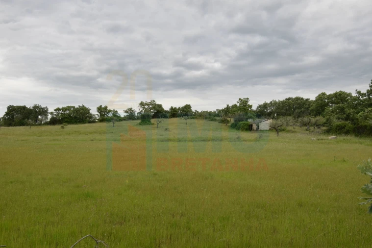 Quinta T0 para Venda em Oledo Foto 16