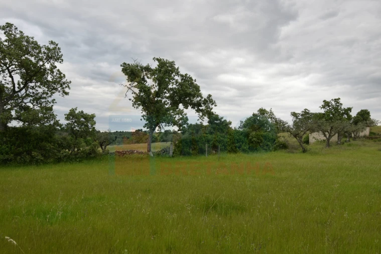 Quinta T0 para Venda em Oledo Foto 19