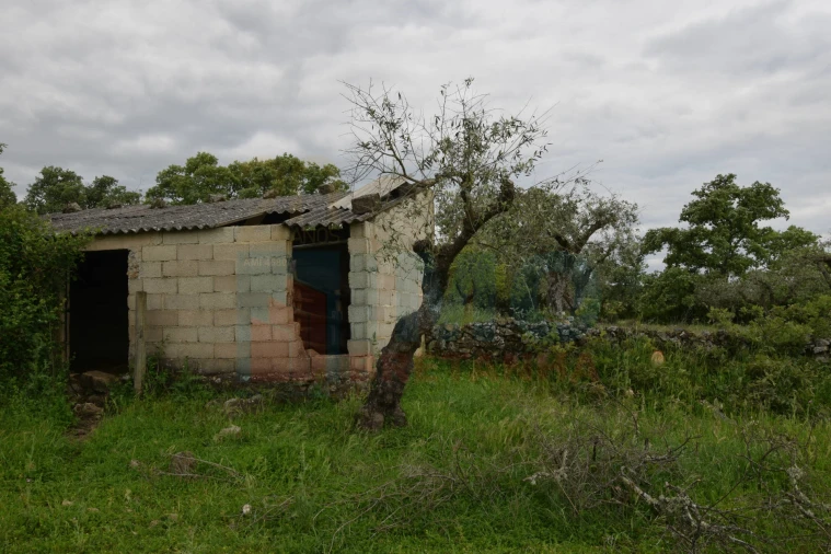Quinta T0 para Venda em Oledo Foto 27