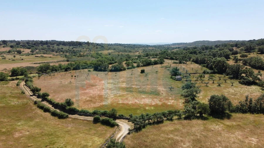 Quinta T0 para Venda em Oledo