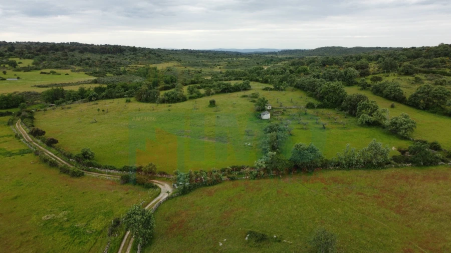 Quinta T0 para Venda em Oledo Foto 8