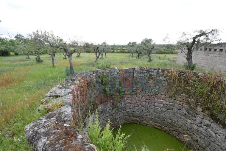 Quinta T0 para Venda em Oledo Foto 32