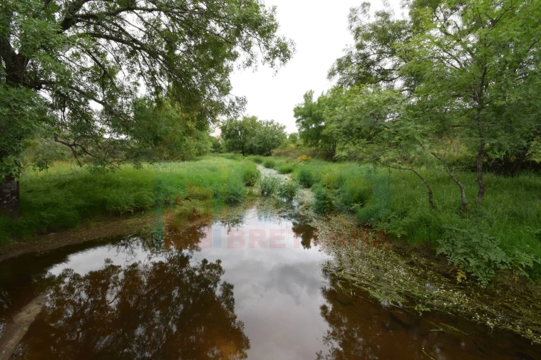 Quinta T0 para Venda em Oledo Foto 39