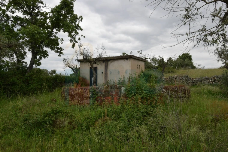 Quinta T0 para Venda em Oledo Foto 29