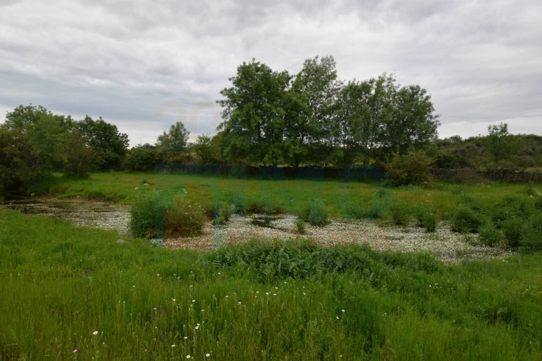 Quinta T0 para Venda em Oledo Foto 35