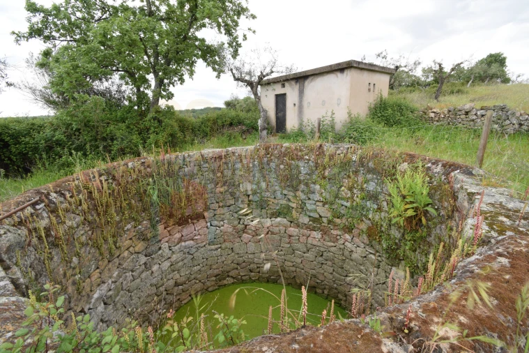 Quinta T0 para Venda em Oledo Foto 31