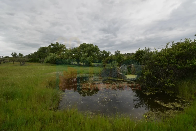 Quinta T0 para Venda em Oledo Foto 21