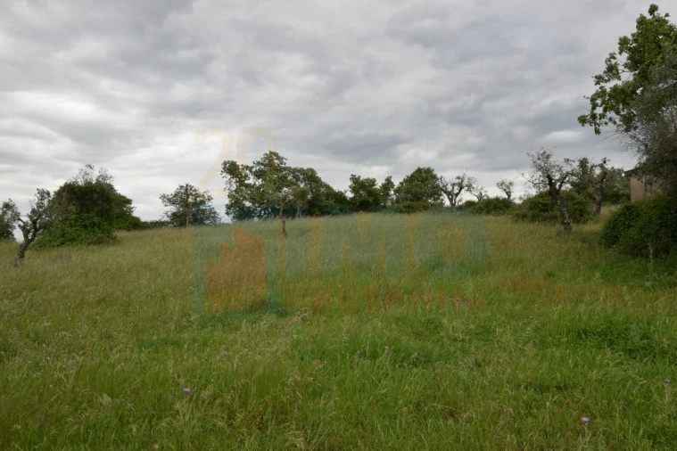 Quinta T0 para Venda em Oledo Foto 26