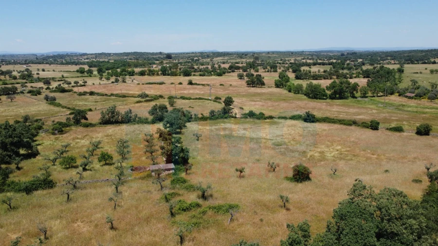 Quinta T0 para Venda em Oledo Foto 2
