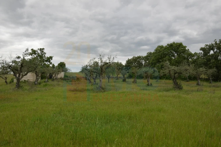 Quinta T0 para Venda em Oledo Foto 22