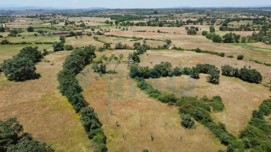 Quinta T0 para Venda em Oledo Foto 4