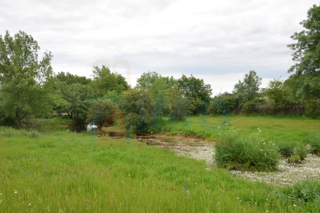 Quinta T0 para Venda em Oledo Foto 33