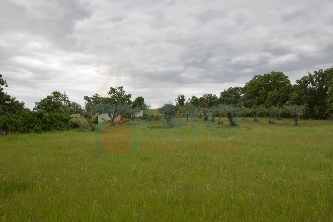 Quinta T0 para Venda em Oledo Foto 18