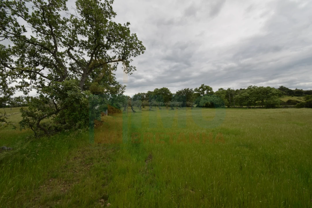 Quinta T0 para Venda em Oledo Foto 17