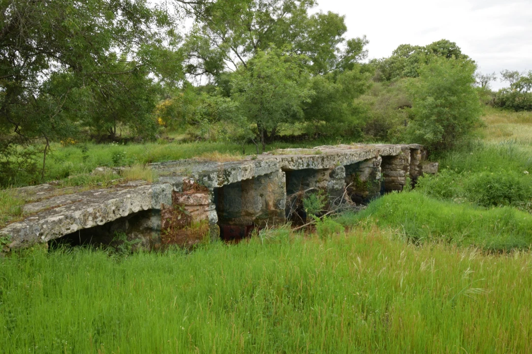 Quinta T0 para Venda em Oledo Foto 38
