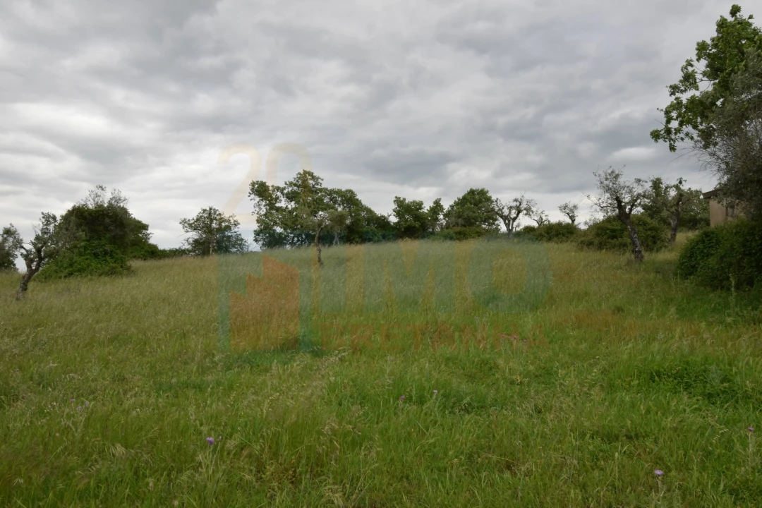 Quinta T0 para Venda em Oledo Foto 26