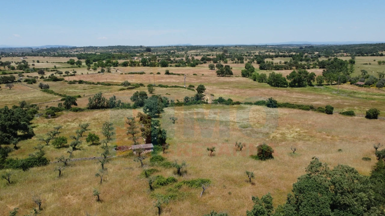 Quinta T0 para Venda em Oledo Foto 2
