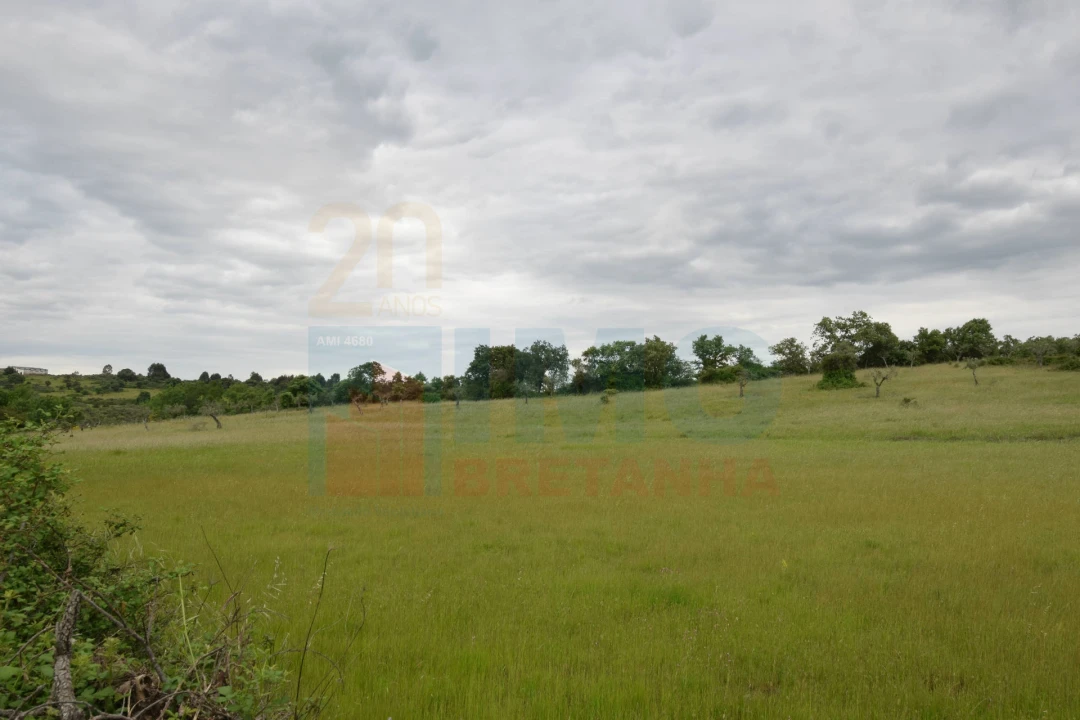 Quinta T0 para Venda em Oledo Foto 15