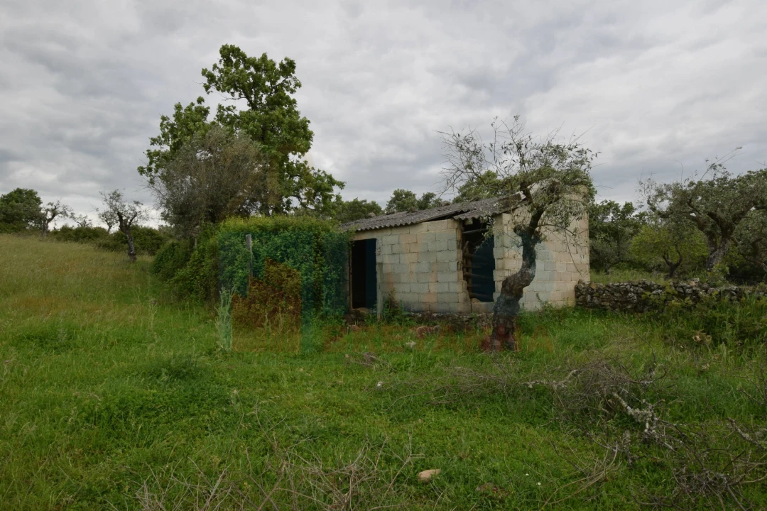 Quinta T0 para Venda em Oledo Foto 25