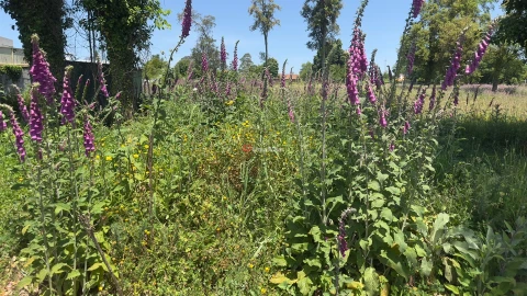 Terreno para Venda em Pedroso e Seixezelo
