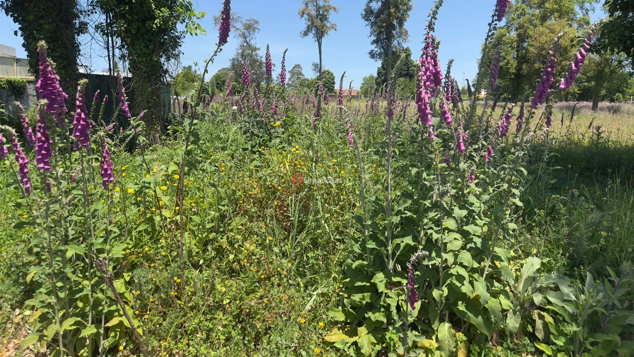 Terreno para Venda em Pedroso e Seixezelo Foto 6