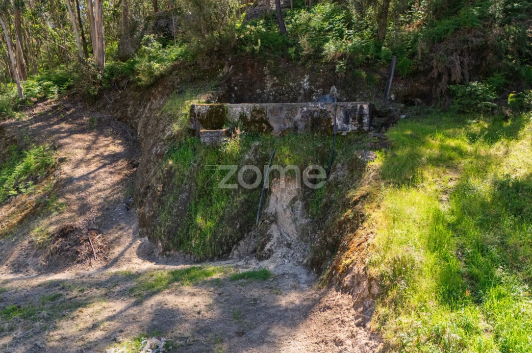 Terreno para Venda em Braga (Maximinos, Sé e Cividade) Foto 12