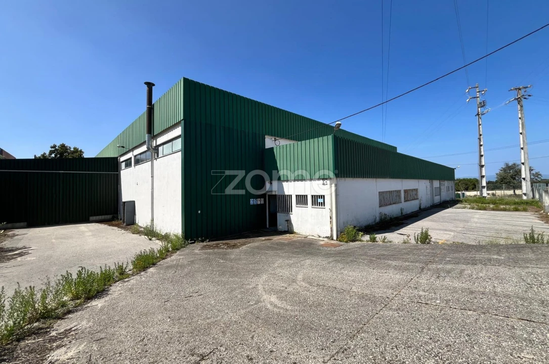 Terreno Comércio / Armazém para Arrendamento em Nelas Foto 1