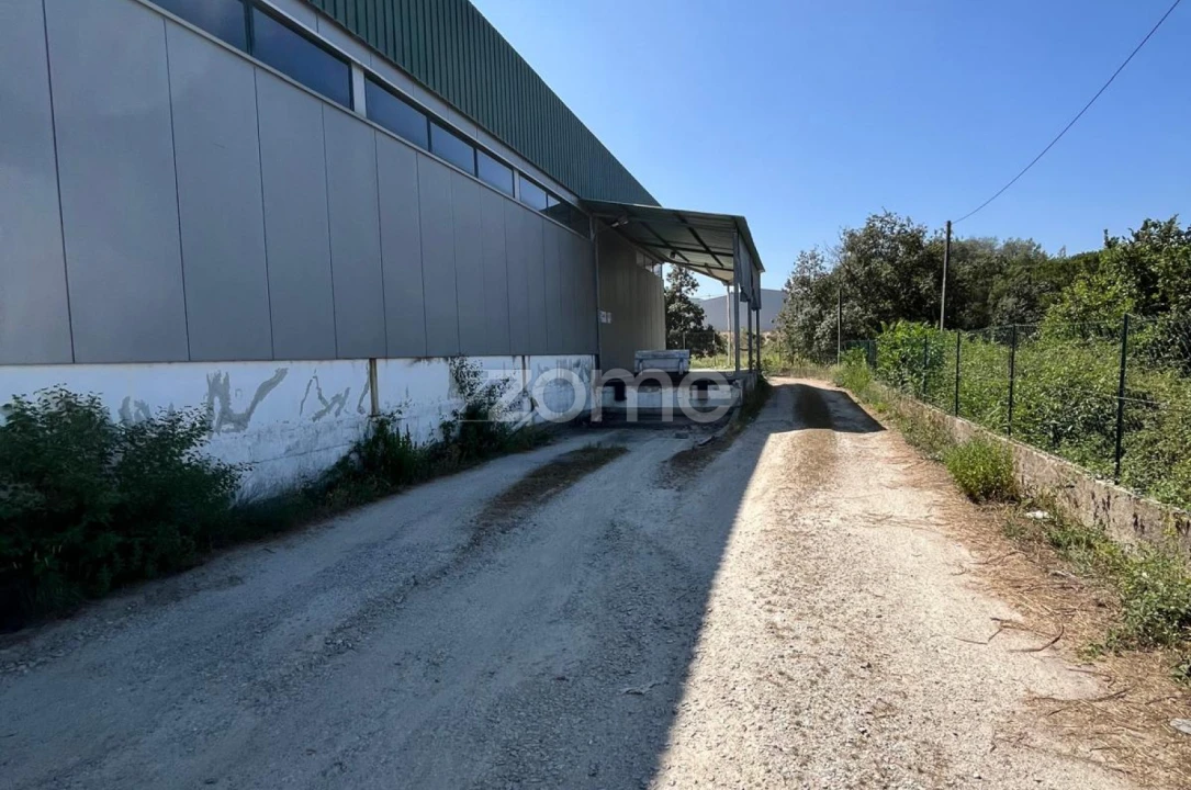 Terreno Comércio / Armazém para Arrendamento em Nelas Foto 14