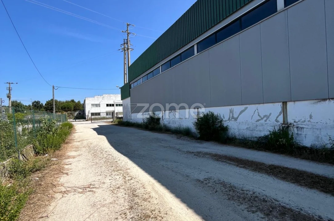 Terreno Comércio / Armazém para Arrendamento em Nelas Foto 15