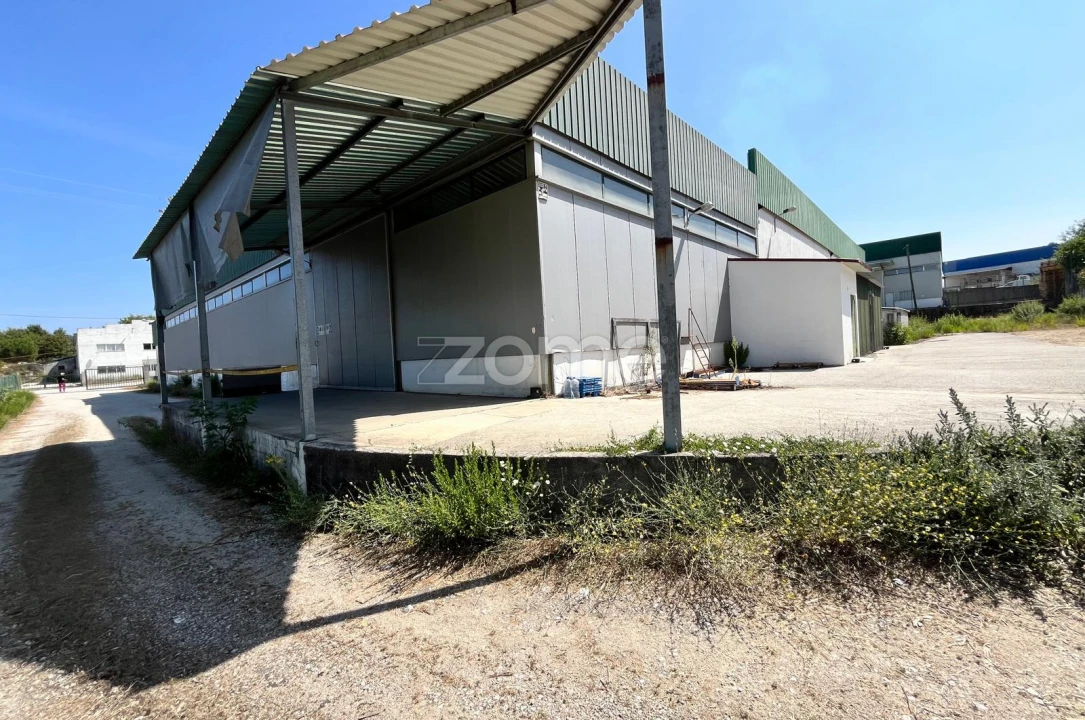 Terreno Comércio / Armazém para Arrendamento em Nelas Foto 17