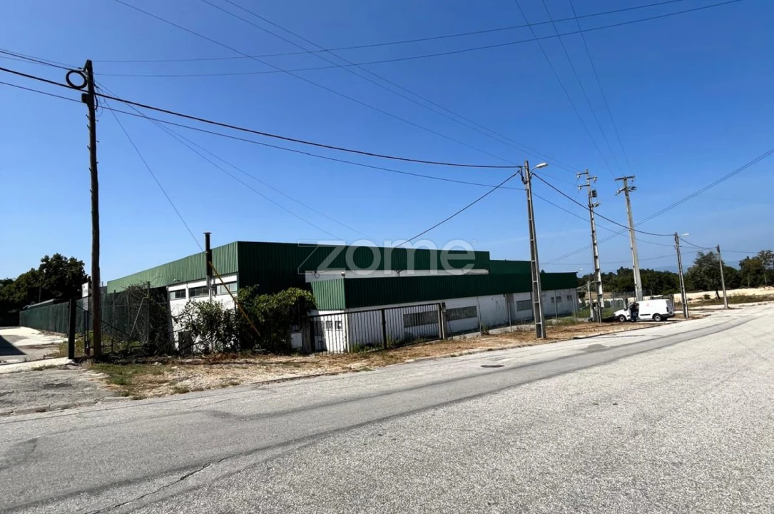 Terreno Comércio / Armazém para Arrendamento em Nelas Foto 4