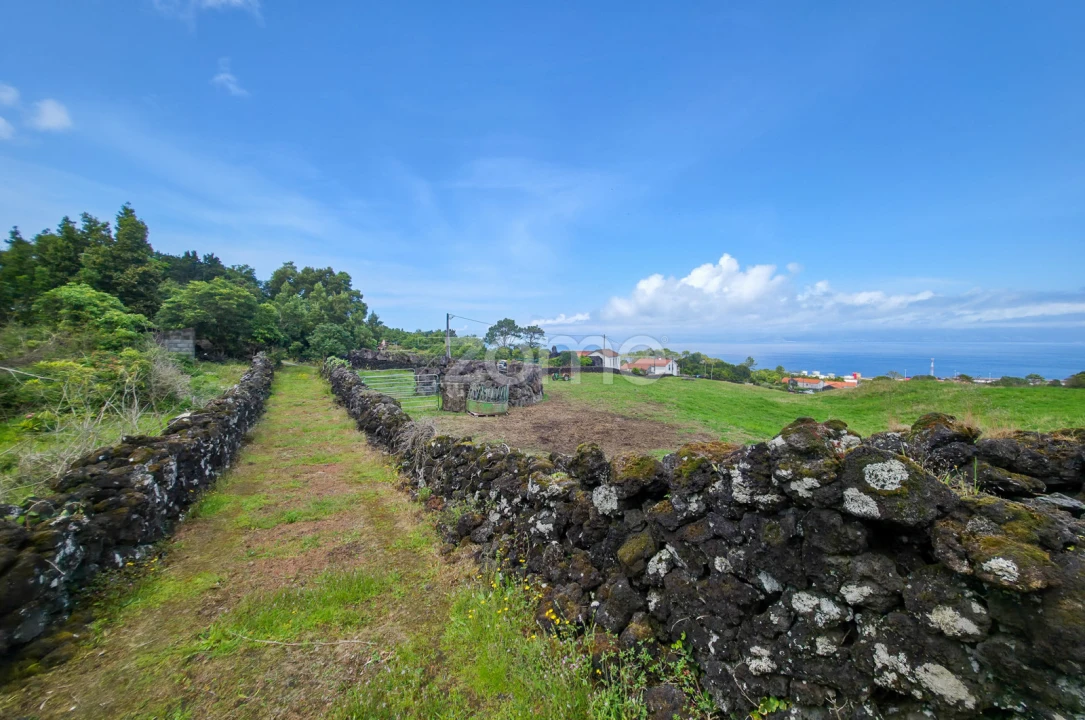 Terreno para Venda em São Roque do Pico Foto 7