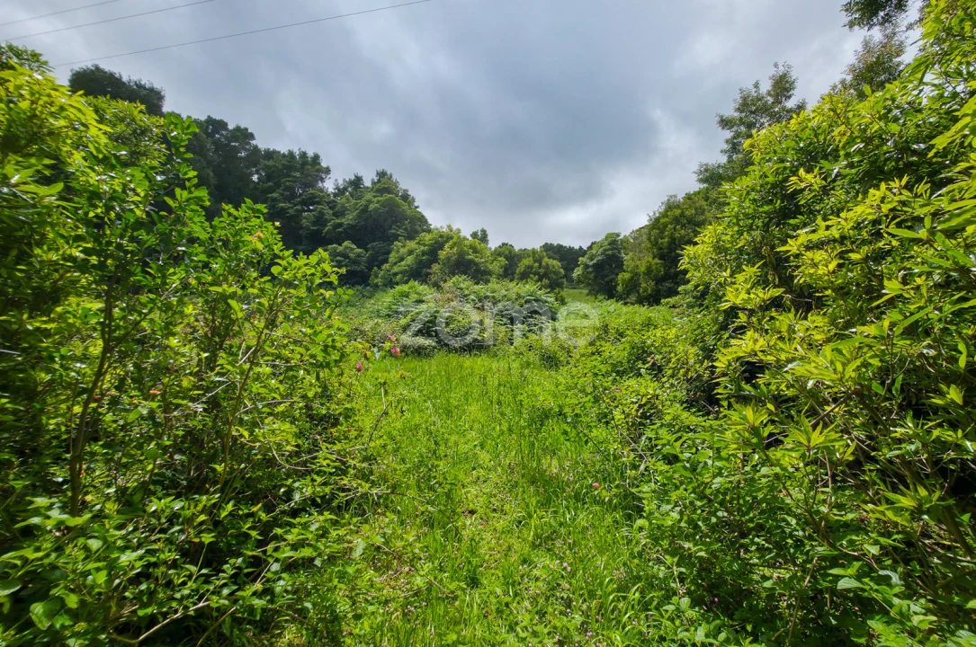 Terreno para Venda em São Roque do Pico Foto 13