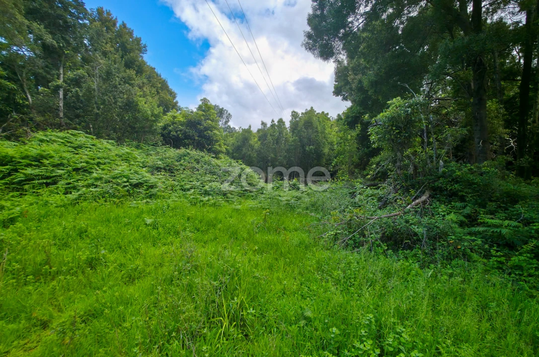 Terreno para Venda em São Roque do Pico Foto 14