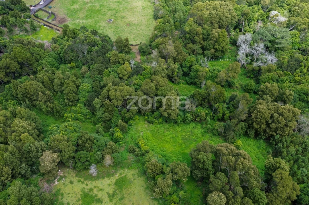 Terreno para Venda em São Roque do Pico Foto 17